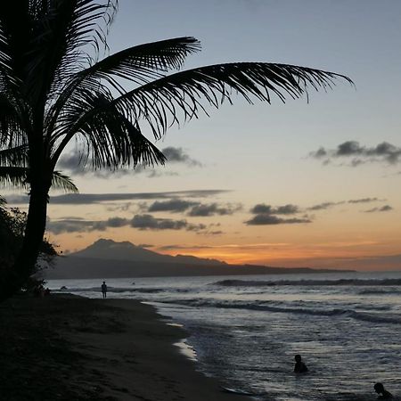 La Villa Caribeenne De La Plage Des Surfeurs 라 트리니테 외부 사진