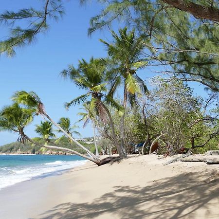 La Villa Caribeenne De La Plage Des Surfeurs 라 트리니테 외부 사진